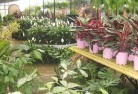 Bundaberg Centralplant-nursery-7.jpg; ?>